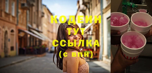 прущие грибы Белокуриха