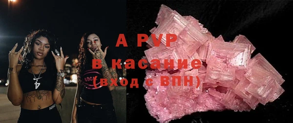 прущие грибы Белокуриха