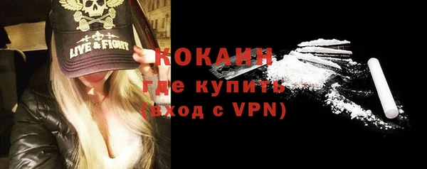 прущие грибы Белокуриха
