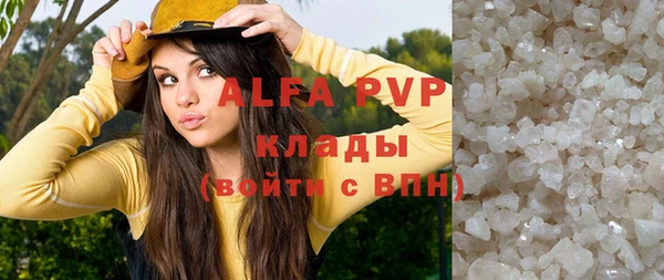 прущие грибы Белокуриха