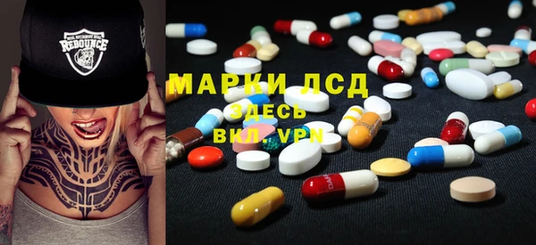 прущие грибы Белокуриха