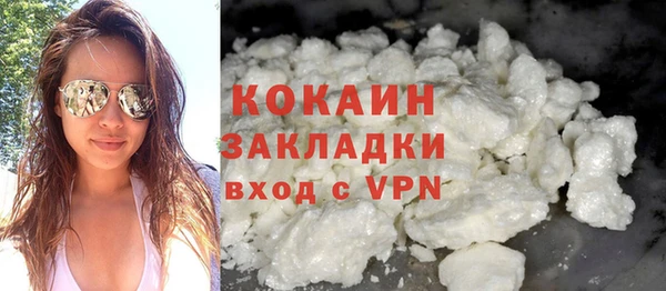 прущие грибы Белокуриха