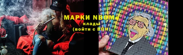 прущие грибы Белокуриха