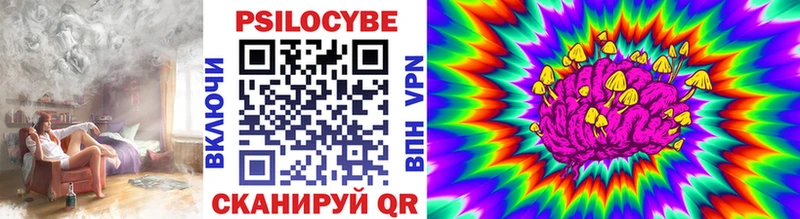 продажа наркотиков  Велиж  Галлюциногенные грибы прущие грибы 